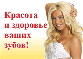 НоваСтом