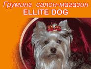 ELLITE DOG, груминг салон - магазин